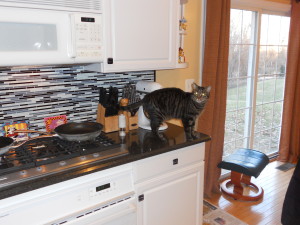 Who, me? No, I'm not standing on the kitchen counter! It's all an illusion...