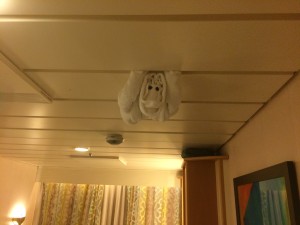 Towel Monkey suspended from the ceiling!